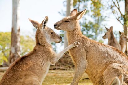 More Pen Pal Friendships Image